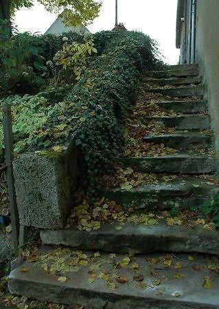 度假居 曼诺尔德普乐斯度假屋